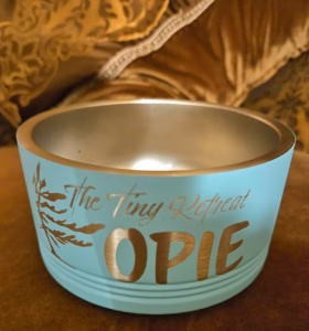 Insulated Stainless Steel Pet Bowl.